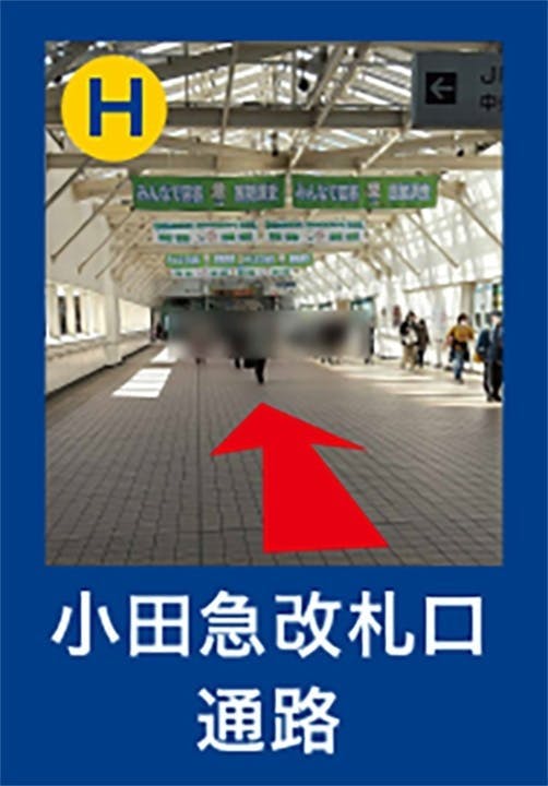 樹木葬「町田アルベリ」