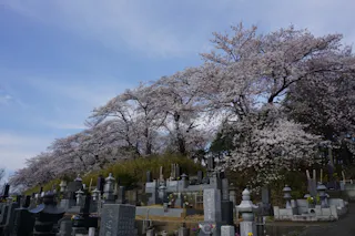 足利観音霊園