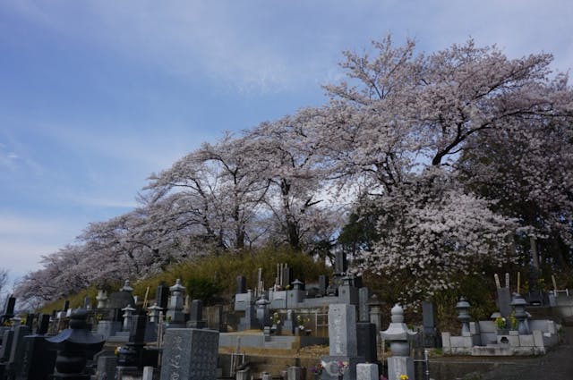 足利観音霊園