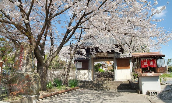 熊本のお寺「日蓮宗 妙性寺」