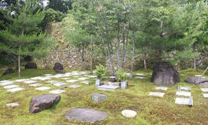 清蔵寺霊園（ペット共葬可能な樹木葬・永代供養墓）の画像