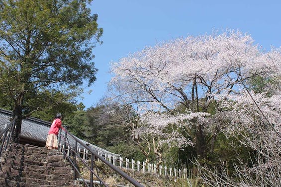 清蔵寺霊園