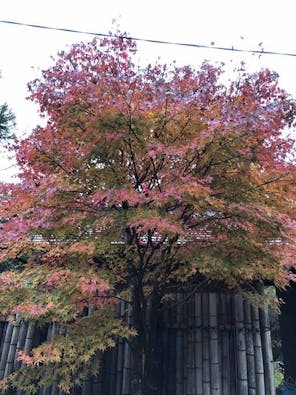 清蔵寺霊園