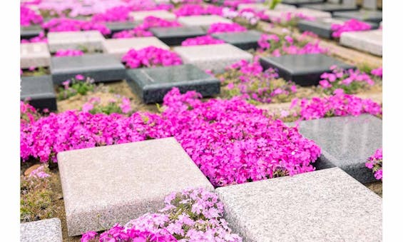 Beautiful Life 千葉の杜