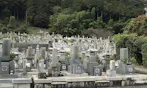 興国禅寺墓地