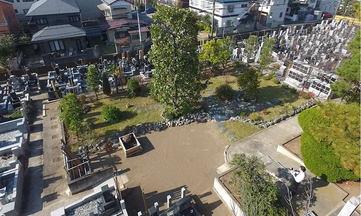東越谷樹木葬墓地
