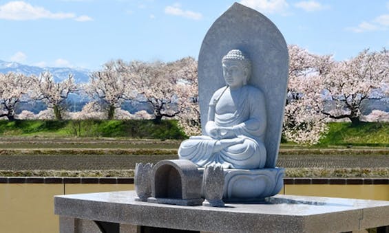 樹木葬・家族墓「桜樹の杜」（富山市）