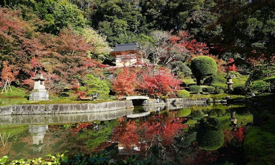 桐岳寺 のうこつぼ