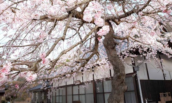 瑞雲寺