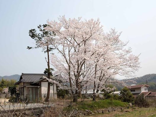 瑞雲寺