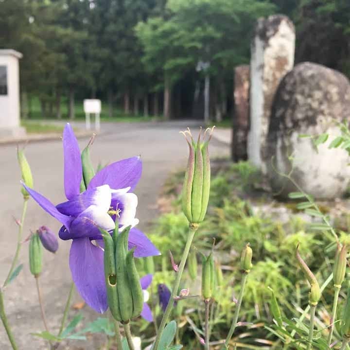 木漏れ日の丘墓園