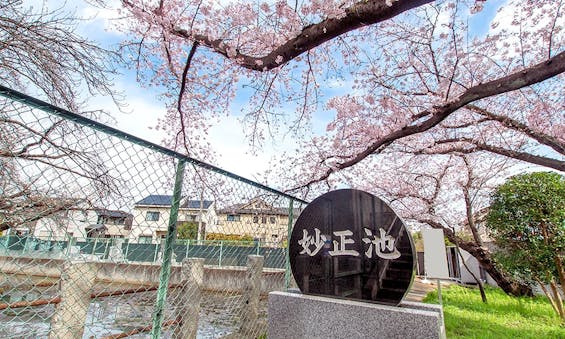 妙正寺 永代供養墓・樹木葬