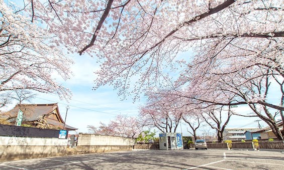 妙正寺 永代供養墓・樹木葬