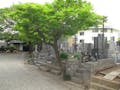 寿昌寺 都心にありながら緑の多い墓所です