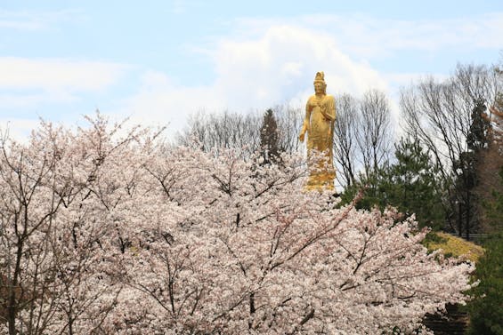 岩松院 永代供養墓