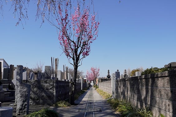 九品院 永代供養塔