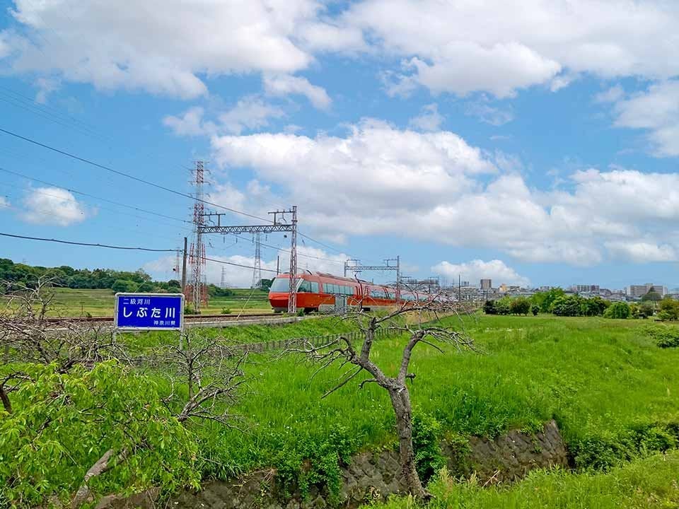 伊勢原樹木葬墓地 墓苑からの小田急線