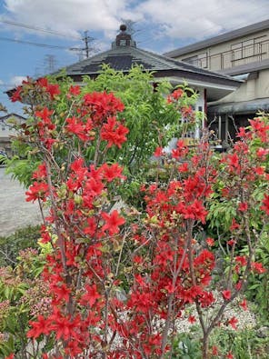 伊勢原樹木葬墓地