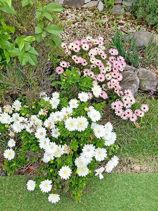 伊勢原樹木葬墓地