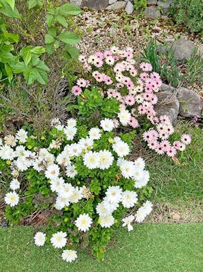 伊勢原樹木葬墓地