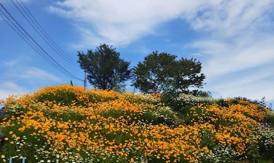 樹木葬墓地「西湘令和の杜」