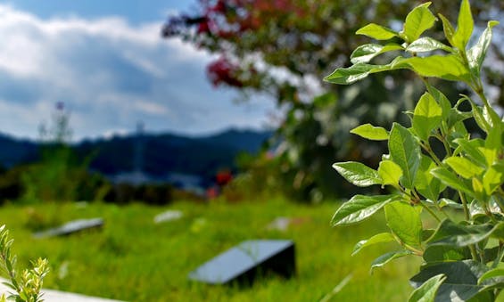 樹木葬墓地「西湘令和の杜」