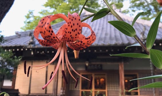 高原寺浄園 永代供養墓