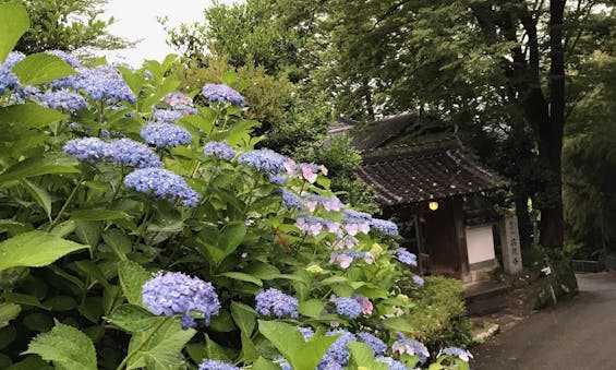 高原寺浄園 永代供養墓