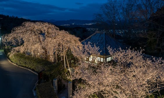 高原寺浄園 永代供養墓