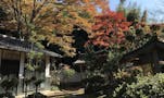 高原寺浄園 永代供養墓 秋の時期には紅葉も美しく、お参りの際には四季折々の表情を楽しめます