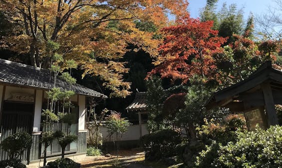 高原寺浄園 永代供養墓