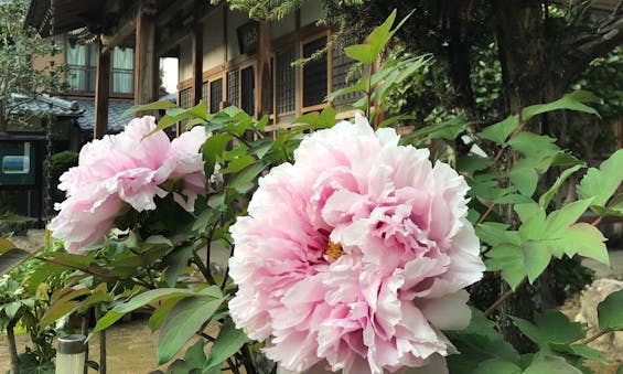 高原寺浄園 永代供養墓