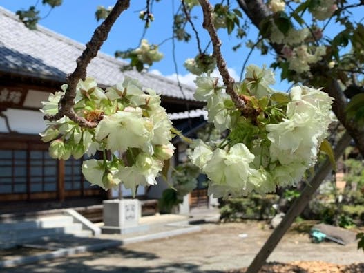 樹木葬 永久の郷