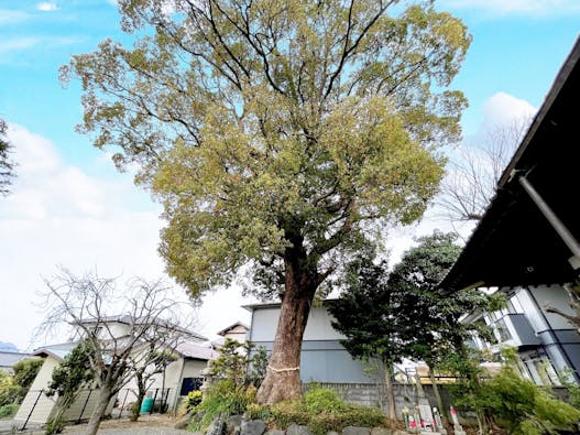 樹木葬 永久の郷