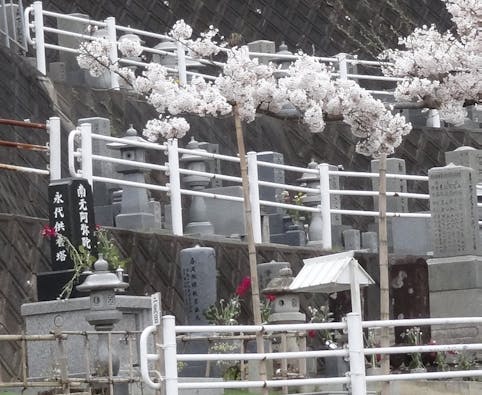 西法寺 永代供養塔