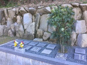 泉徳寺樹木葬霊園の画像