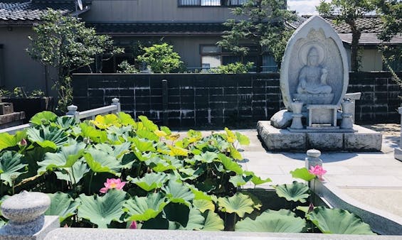 香積寺 のうこつぼ