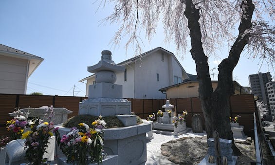 別格本山 龍寶寺