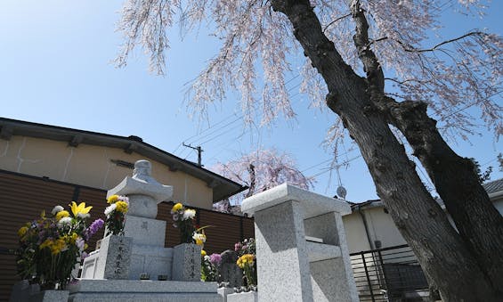 別格本山 龍寶寺