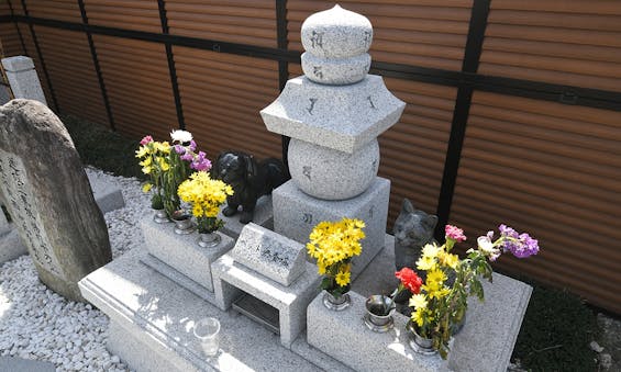 別格本山 龍寶寺