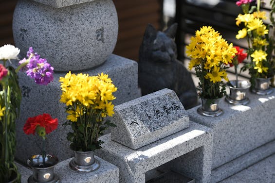 別格本山 龍寶寺