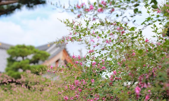 東光院萩の寺・永代供養墓『吉祥林永代塔』