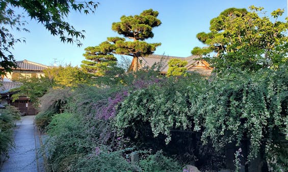 東光院萩の寺・永代供養墓『吉祥林永代塔』