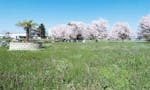 さくらん墓苑 桜を観ながら風を感じながら休憩できる腰掛けサークル
