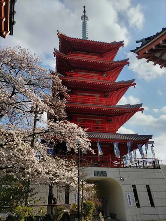 光明霊園(八王子市)の樹木葬