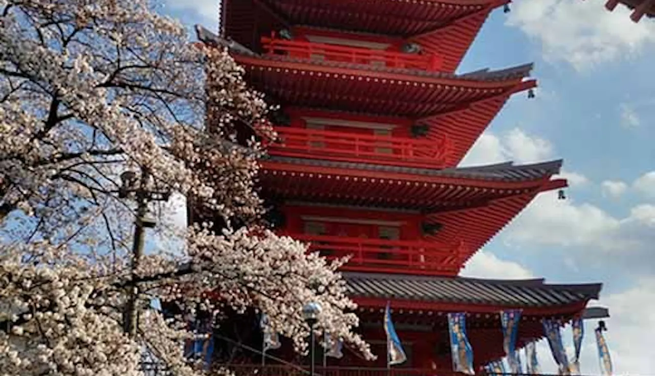 光明霊園(八王子市)の樹木葬