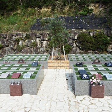 大舟寺 樹木葬の画像