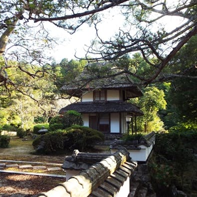 大舟寺 樹木葬