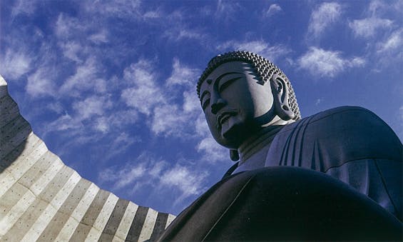 真駒内滝野霊園 頭大仏