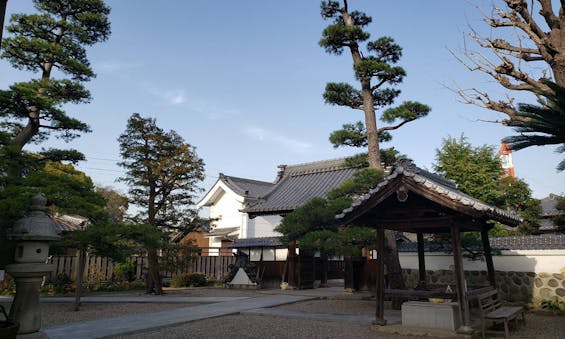 専福寺 のうこつぼ